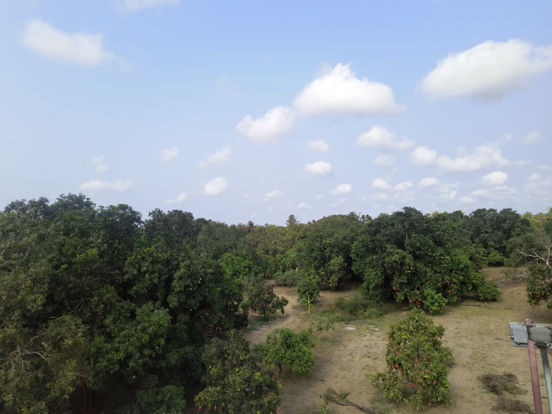 Aerial view of the farm