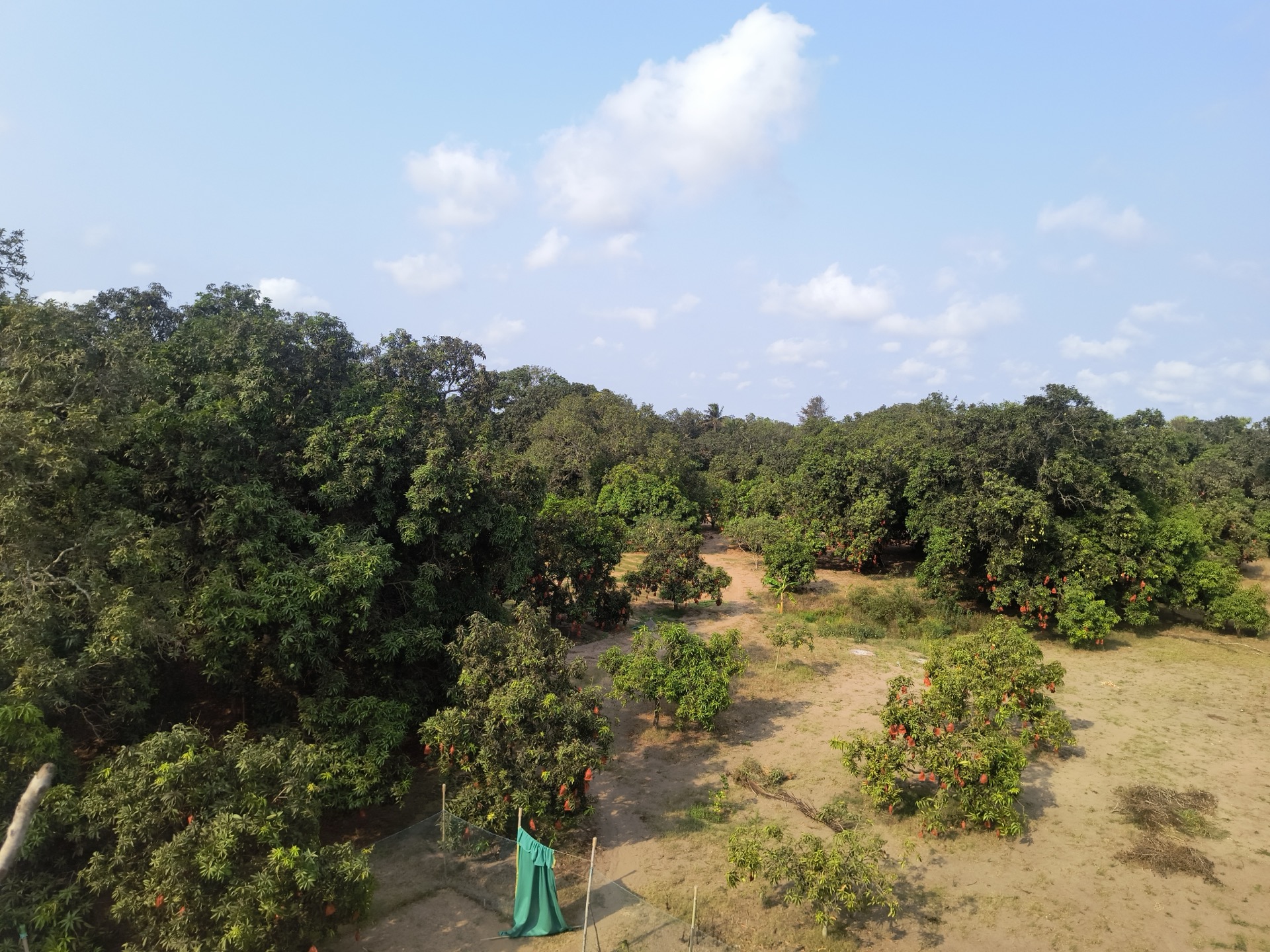 Farm aerial view